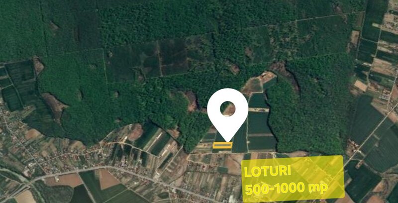 Izvorani, Snagov, loturi de teren la padure, 500-1.000 mp,