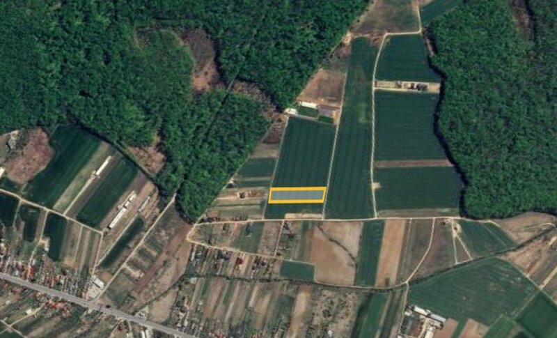 Izvorani, Snagov, loturi de teren la padure, 500-1.000 mp,