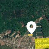 Izvorani, Snagov, loturi de teren la padure, 500-1.000 mp